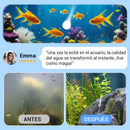 Tableta Potente de Purificación de Agua para Acuarios