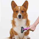 🎁 Peines para mascotas - solución fácil para los nudos de pelo de las mascotas
