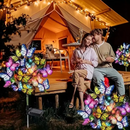 🦋Luzes solares para exterior em forma de borboleta💐
