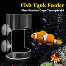 Comedero antiderrames para acuario 🐟💧