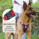 🐶 ¡OFERTA ESPECIAL 50% DE DESCUENTO POR TIEMPO LIMITADO! ⏰ Arnés Anti-Tirón para Perros con Correa y Collar LED – Control Efectivo, Visibilidad Nocturna, Ajuste Cómodo y Uso Versátil ✨