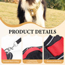 🐶 ¡OFERTA ESPECIAL 50% DE DESCUENTO POR TIEMPO LIMITADO! ⏰ Arnés Anti-Tirón para Perros con Correa y Collar LED – Control Efectivo, Visibilidad Nocturna, Ajuste Cómodo y Uso Versátil ✨
