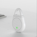 ⏰🔥¡Oferta por tiempo limitado! 🐦Ahuyentador ultrasónico portátil para aves (con llavero): repele eficazmente las aves dañinas ✨