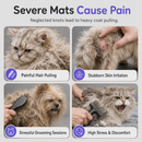 🐾 50% dto. Spray desenredante y alisador para mascotas – deshace nudos sin dolor, alisa el pelo áspero y aporta brillo duradero. ¡Solo uso externo, 50 ml! ✨💧